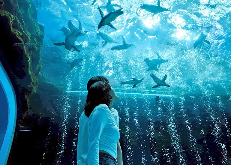 AQUA PLANET水族館