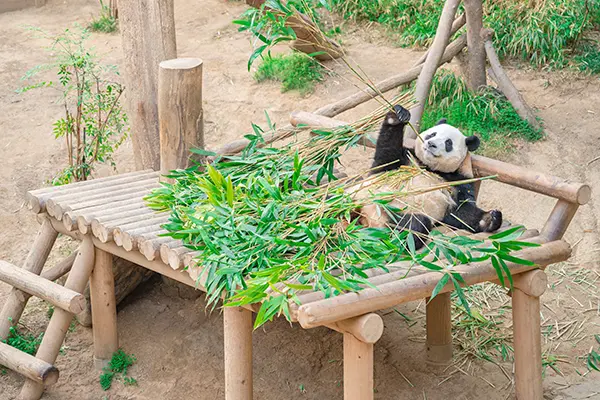 愛寶樂園 愛寶樂園