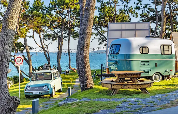 The Moving Caravan The Moving Caravan
