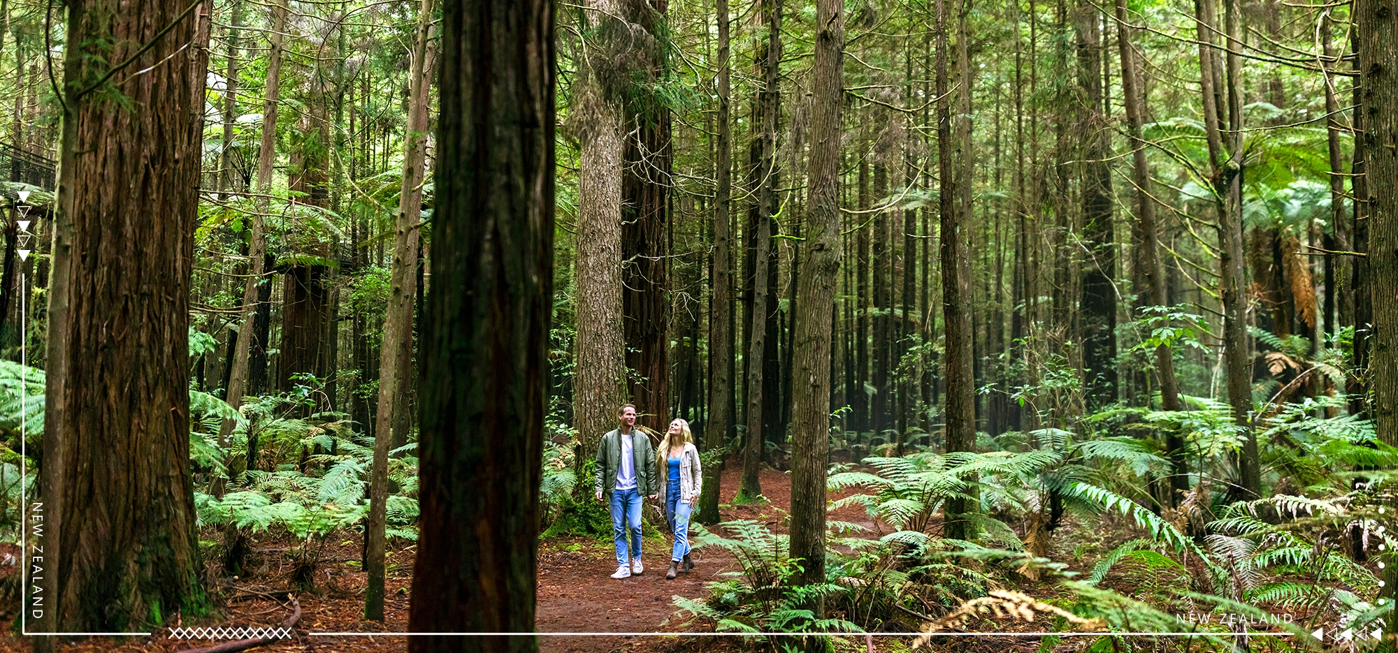 羅托魯瓦 紅木森林公園