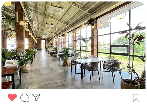 Lala Garden Cafe