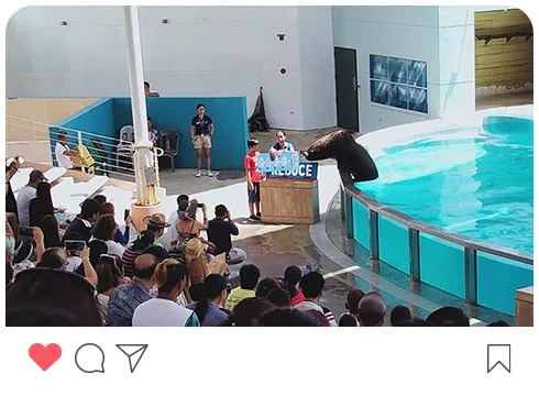 海洋公園 海洋公園