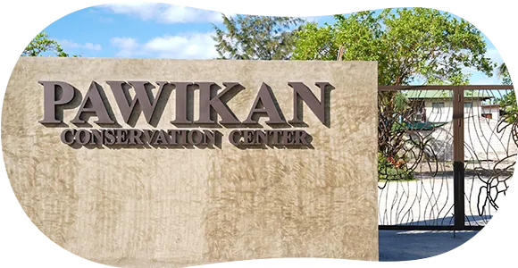 PAWIKAN PAWIKAN