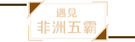 非洲五霸