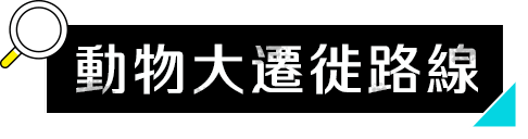 動物大遷徙路線