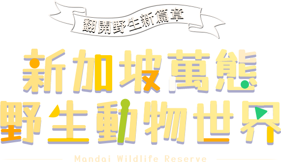 翻開野生新篇章，新加坡萬態野生動物世界