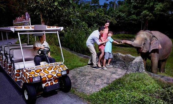 五星聖淘沙.兒童不佔減6000》