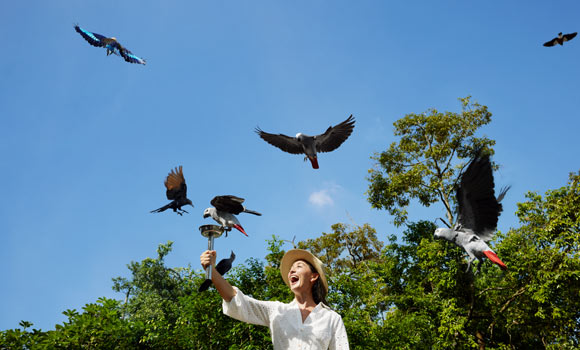 新加坡飛禽公園／開放日期