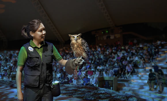 夜間野生動物園／開放日期