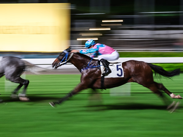 香港賽馬