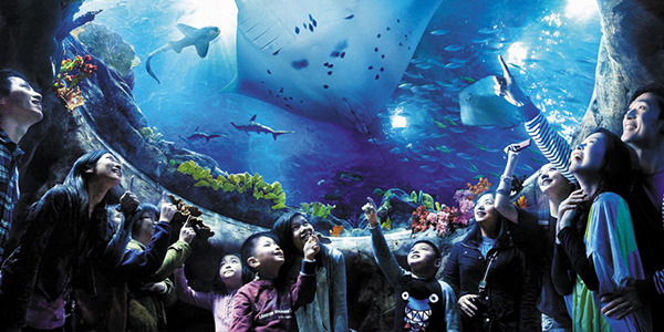 香港海洋公園◆即訂即購》香港自由配