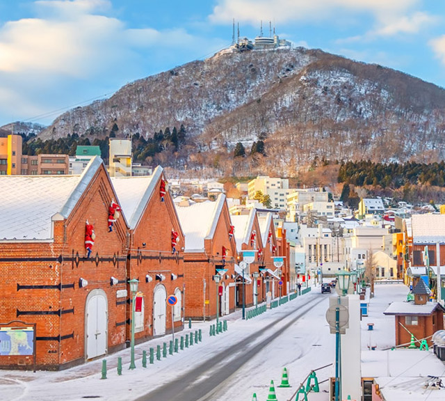 北海道.東北 星宇航空◆即訂即購》函館自由配