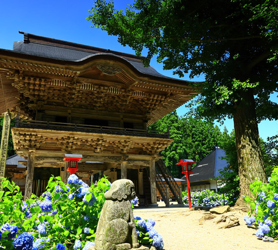 台灣虎航◆直飛花卷◆即訂即購》東北5天1夜自由行