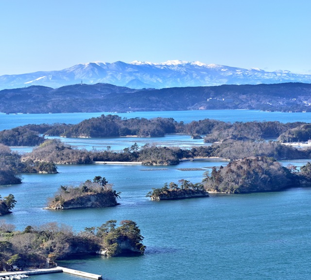 關東 【JR東日本鐵路周遊券】5日券(贈東北樂享周遊券)