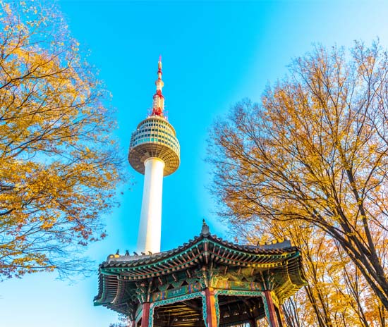 網路限定◆即訂即購》首爾自由配