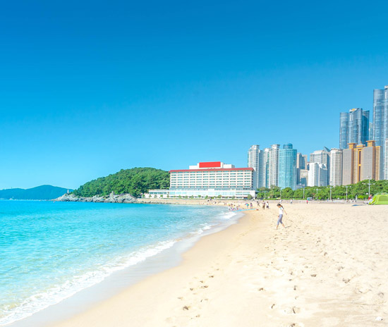 玩美旅行◆海雲台區酒店◆即訂即購》釜山自由配