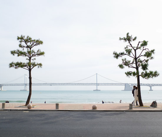 玩美旅行◆西面區酒店◆即訂即購》釜山自由配