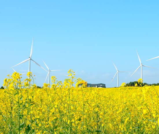 網路限定◆即訂即購》韓國｜濟州島自由配