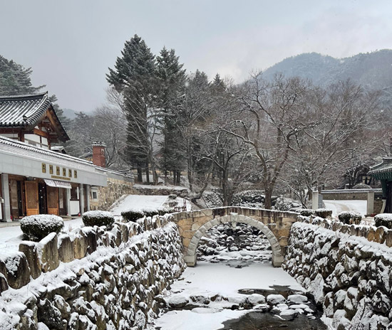 德威航空◆即訂即購》大邱自由配