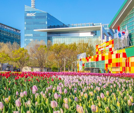 MBC電視台一日遊