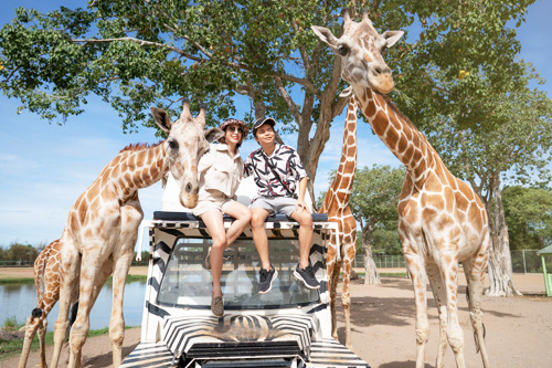 曼谷出發私人包車遊》北碧長頸鹿野生動物園＋自選網美咖啡廳
