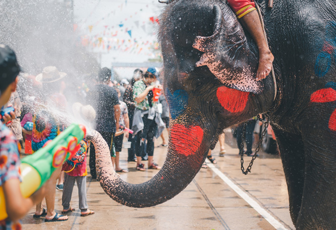 泰國潑水節嗨翻天