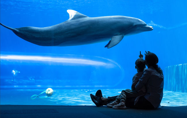 華航揪好玩》樂天三主題.開港場電動車.水花園咖啡廳.迎仕柏渡假村5日