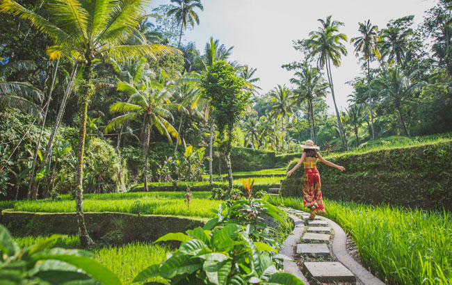 峇里特賣會》叢林越野探險.德哥拉朗梯田.南洋花香SPA.藍色斷崖公路5日