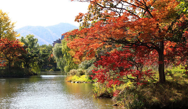 北海道賞楓推薦住宿 洞爺湖國家公園 層雲峽 見晴公園推薦 Colatour 可樂旅遊