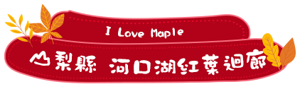 山梨縣河口湖紅葉迴廊